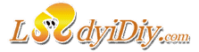 ladyidiy logo