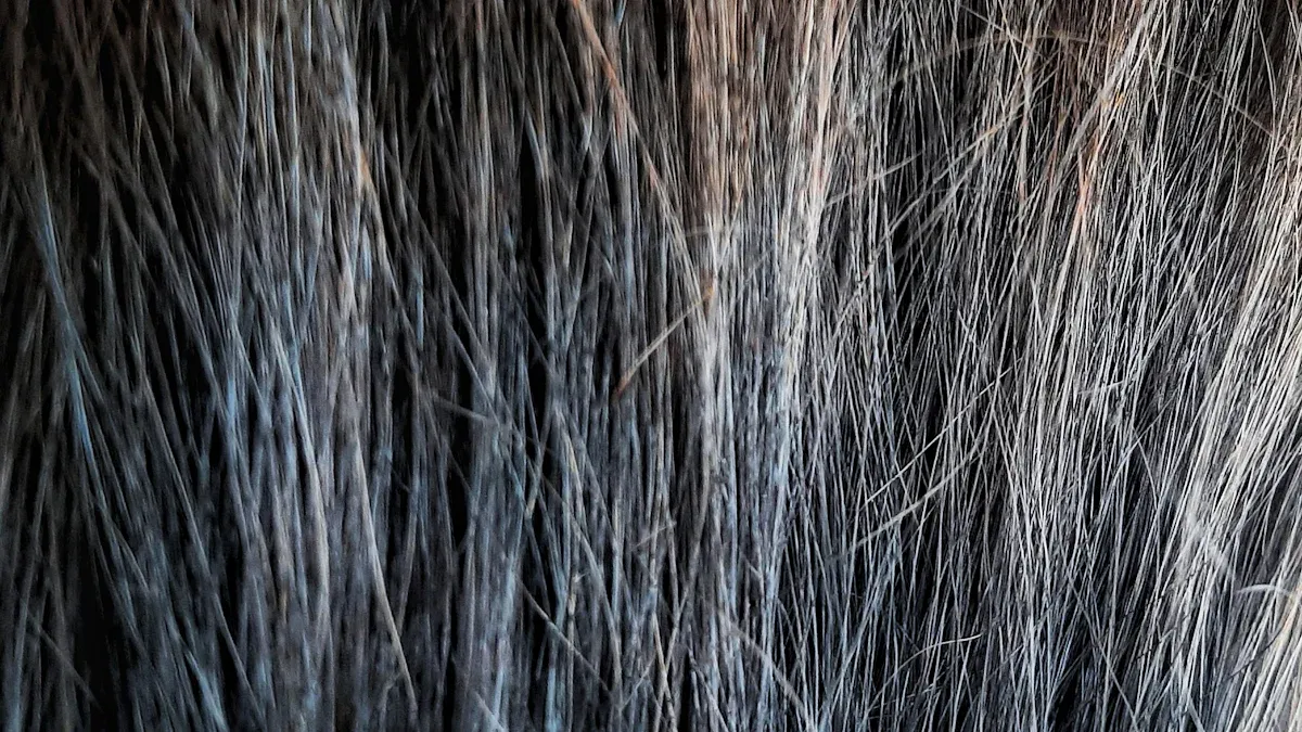 Thinning Hair and Volume Loss: The Real Struggle